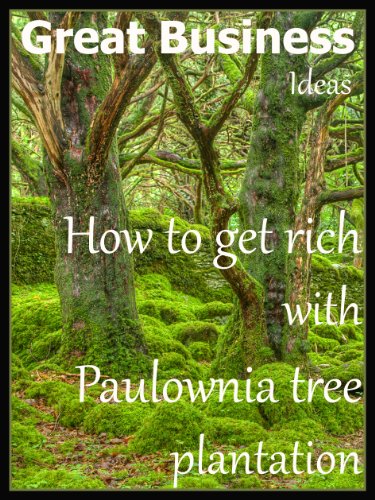 Great Business Ideas - How to Get Rich with Paulownia Tree Plantation
