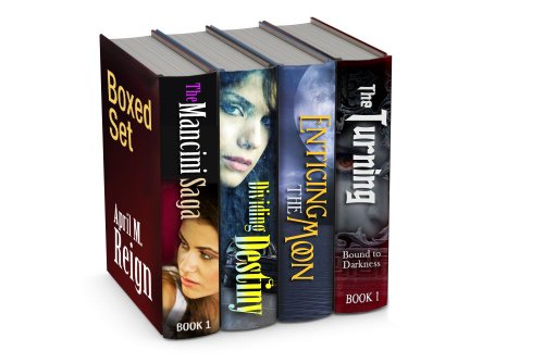Box Set: A Rendezvous with Reign (4 Novels)