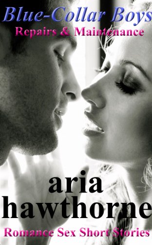 Blue-Collar Boys - Repairs & Maintenance: Romance Sex Short Stories