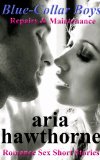 Blue-Collar Boys - Repairs & Maintenance: Romance Sex Short Stories