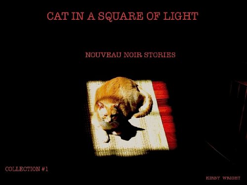 CAT IN A SQUARE OF LIGHT, Nouveau Noir Stories #1