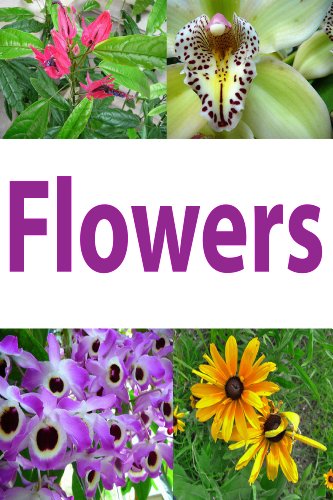 Flowers: pictures of orchids, bird of paradise, lilies, and more