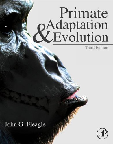 Primate Adaptation and Evolution: 3rd Edn