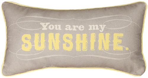 Book Cover Manual Reversible Throw Pillow, You Are My Sunshine, 17 X 9-Inch