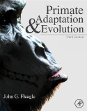 Primate Adaptation and Evolution: 3rd Edn