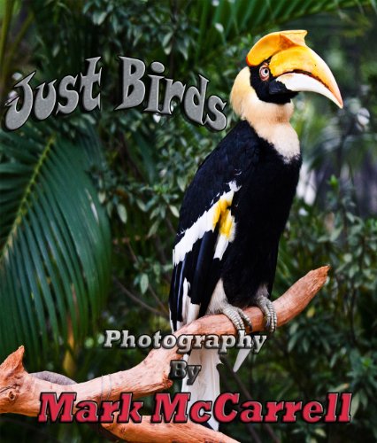 Just Birds