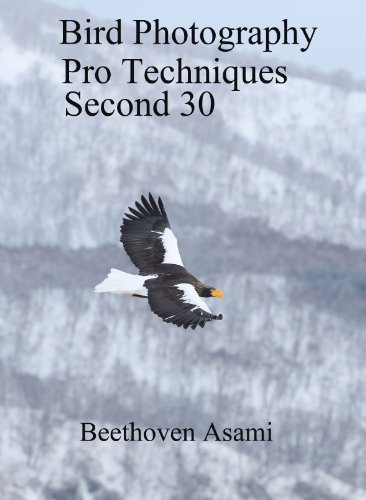 Bird Photography Pro Techniques Second 30