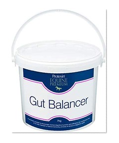 Protexin Equine Premium Gut Balancer (Size: 700g)