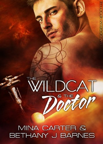The Wildcat and the Doctor: Scifi Alien Soldier Romance