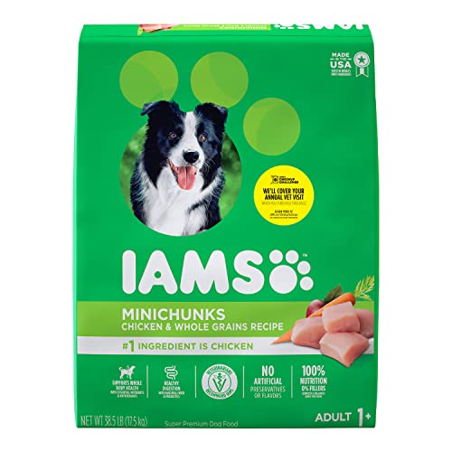 IAMS Adult Minichunks Small Kibble High Protein Dry Dog Food with Real Chicken, 38.5 lb. Bag