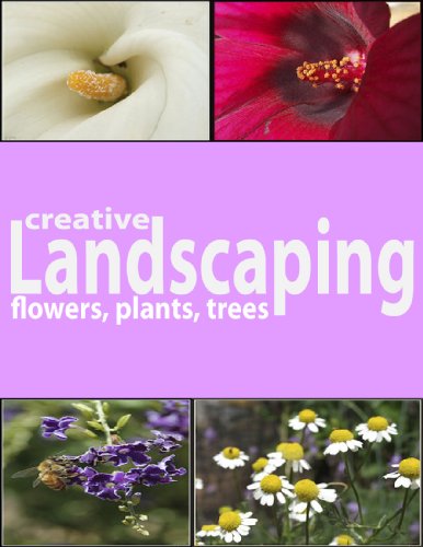 Creative Landscaping: a picture book of flowers, trees, and plants