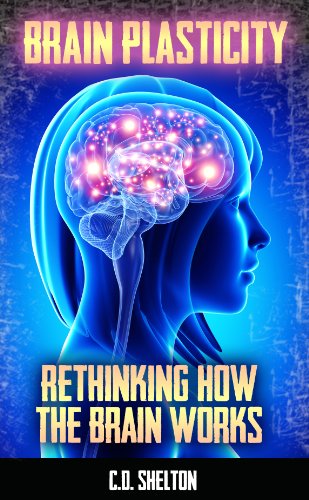 Brain Plasticity: Rethinking How the Brain Works