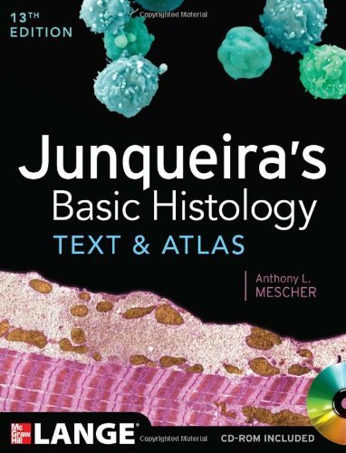 Junqueira's Basic Histology: Text and Atlas, Thirteenth Edition by Mescher, Anthony 13th (thirteenth) Edition [Paperback(2013/1/23)]