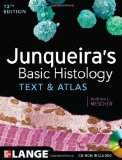 Junqueira's Basic Histology: Text and Atlas, Thirteenth Edition by Mescher, Anthony 13th (thirteenth) Edition [Paperback(2013/1/23)]