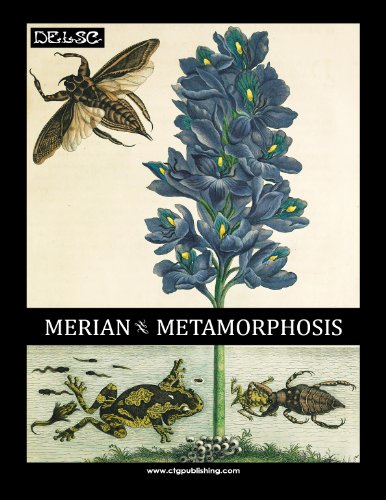 Merian - Metamorphosis
