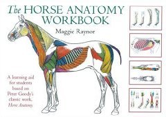 The Horse Anatomy Workbook by Raynor, Maggie (2005)