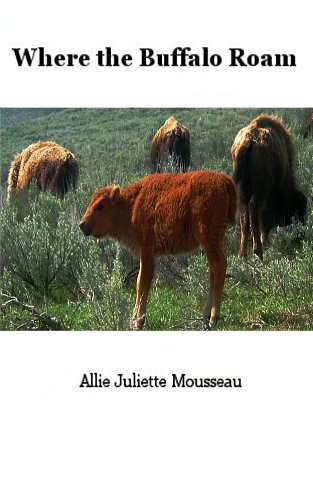 Where The Buffalo Roam