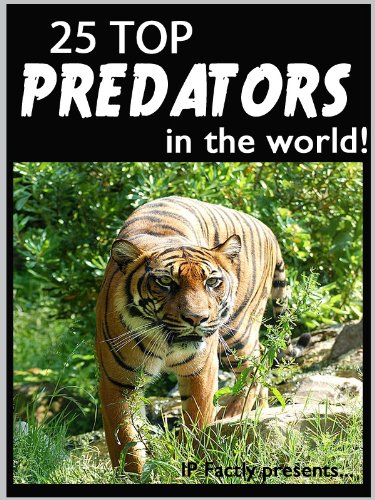 25 Top Predators in the World! Animal Facts, Photos and Video Links. (25 Amazing Animals Series Book 6)