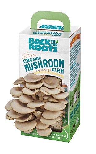 Book Cover Back to the Roots ~ Pearl Oyster Mushroom Kitchen Garden Grow Your Own Kit ~ Grows out of the Box!