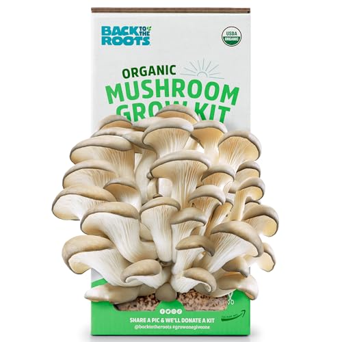 Back to the Roots ~ Pearl Oyster Mushroom Kitchen Garden Grow Your Own Kit ~ Grows out of the Box!