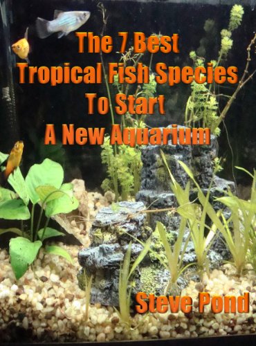 The 7 Best Beginning Tropical Fish Species For Starting A New Aquarium