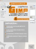 GIMP. Tutorial pratici per Windows, Mac e Linux. Livello 1 (Esperto in un click) (Italian Edition)