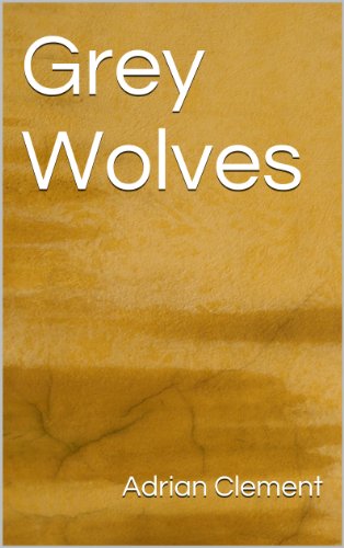 Grey Wolves (A James 'Jimmy'  Palmer novel - 2)