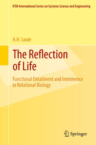 The Reflection of Life: 29 (IFSR International Series on Systems Science and Engineering)