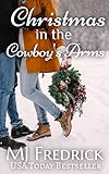Sanctuary with the Cowboy (A Christmas Novella)
