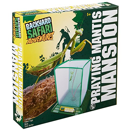 Backyard Safari Praying Mantis Mansion