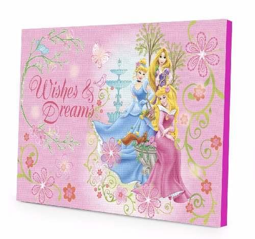 Book Cover Idea Nuova Disney Princess LED Light Up Canvas Wall Art, (WK317523)