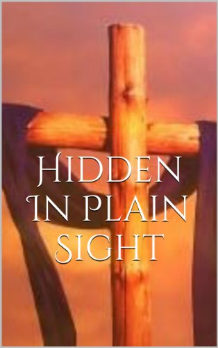 Hidden In Plain Sight