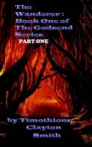 The Wanderer: Book One of the Godsend Series: Section One