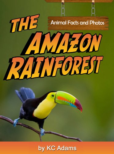 The Amazon Rainforest: Animal Facts & Photos