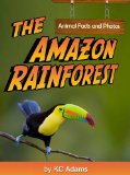 The Amazon Rainforest: Animal Facts & Photos