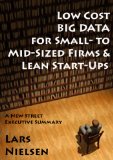 Low Cost BIG DATA For Small- to Mid-Sized Firms and Lean Start-Ups (New Street Executive Summaries Book 1)