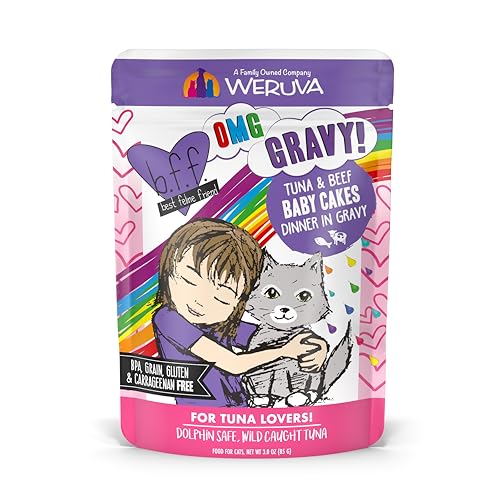 Weruva Best Feline Friend Tuna & Beef Baby Cakes - 12x3oz