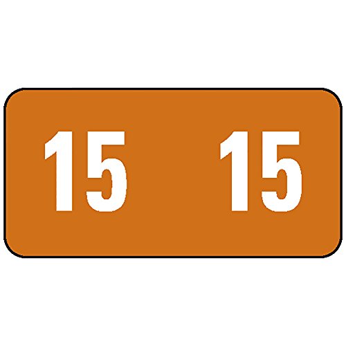 Smead ETS Color-Coded Year Labels, 2015, Brown, 250 Labels per Pack (67915)
