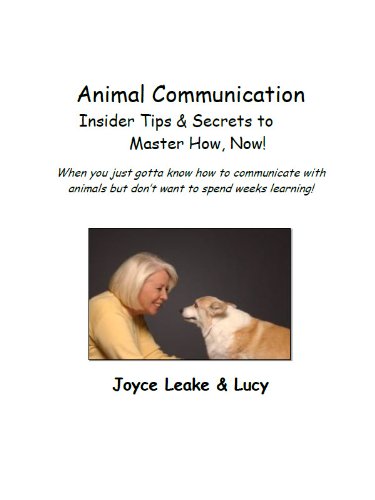 Animal Communication Insider Tips & Secrets to Master How, Now!