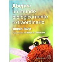Abejas Un Mundo Biologicamente Extraordinario