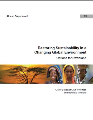 Restoring Sustainability in a Changing Global Environment: Options for Swaziland: 13 (African Departmental Paper)