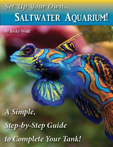 Set Up Your Own Saltwater Aquarium!