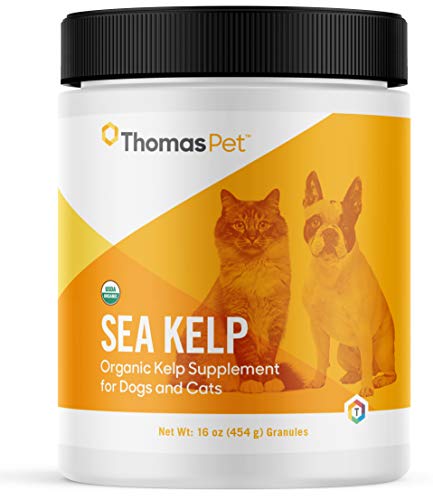 Thomas Labs C Kelp - Organic Kelp Supplement for Dogs & Cats - Rich in Essential Nutrients for Immune Support - (16 Ounces, Granules)