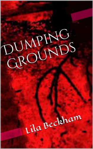 Dumping Grounds (Joshua Stokes Mysteries Book 1)