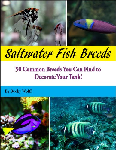Saltwater Fish Breeds