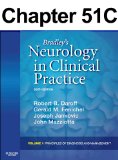 Vascular Diseases of the Nervous System: Intracranial Aneurysms and Subarachnoid Hemorrhage: Chapter  51C of Bradley's Neurology in Clinical Practice