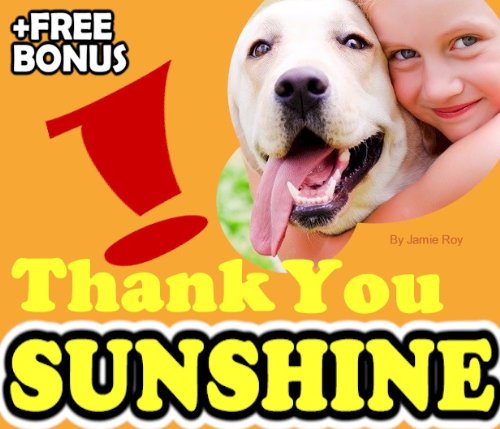 Thank You Sunshine Picture Book