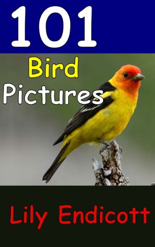 101 Bird Pictures