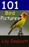 101 Bird Pictures