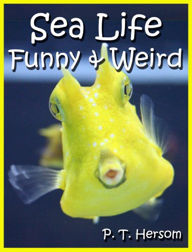 Sea Life Funny & Weird Marine Animals - Learn with Amazing Photos and Facts About Ocean Marine Sea Animals. (Funny & Weird Animals Series Book 1)